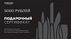 Электронный подарочный сертификат на 5000 рублей - фото №1