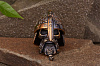 Бусина на темляк XL «Шлем Ратника» - фото №7