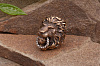 Бусина на темляк XL «Голова льва» - фото №1