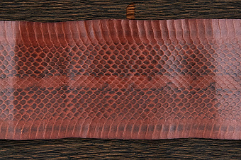 Шкурка змеи, 1100×75-85мм (коричневая глянцевая)