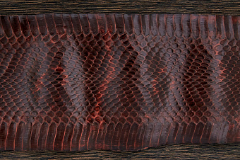 Шкурка змеи с головой, 1050×75-105мм (темно-коричневая  глянцевая)