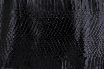 Шкурка змеи с головой, 1150×120мм (черная глянцевая)