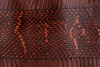 Шкурка змеи с головой, 1080×105мм (коричневая глянцевая) - фото №2